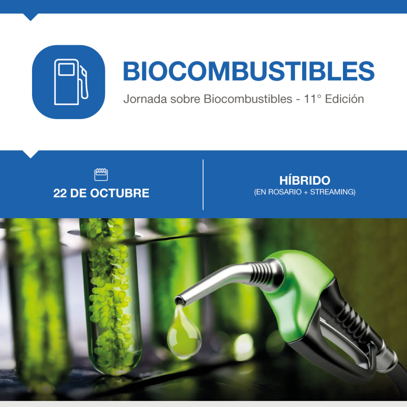 26-biocombustibles-p